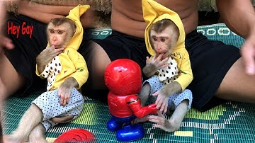 Little Brother Surprising Monkey Abbey With Spiderman Robot