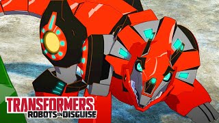 Transformers: Robots in Disguise | S3 FULL SEASON | Animation | Transformers Official