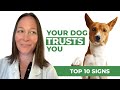 Top 10 Signs Your Dog Trusts You! 🐾
