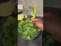 Aya Ndo Anonzi Mashizha Chayiwo Chayiwo 
