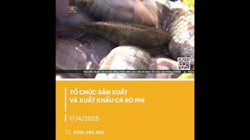 Nhiều sản phẩm chế biến sâu từ cá rô phi nhằm gia tăng giá trị cho loài cá này | VTV CẦN THƠ