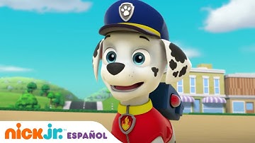 PAW Patrol | ¡Los cachorros se cambian entre sí! | Nick Jr. en Español