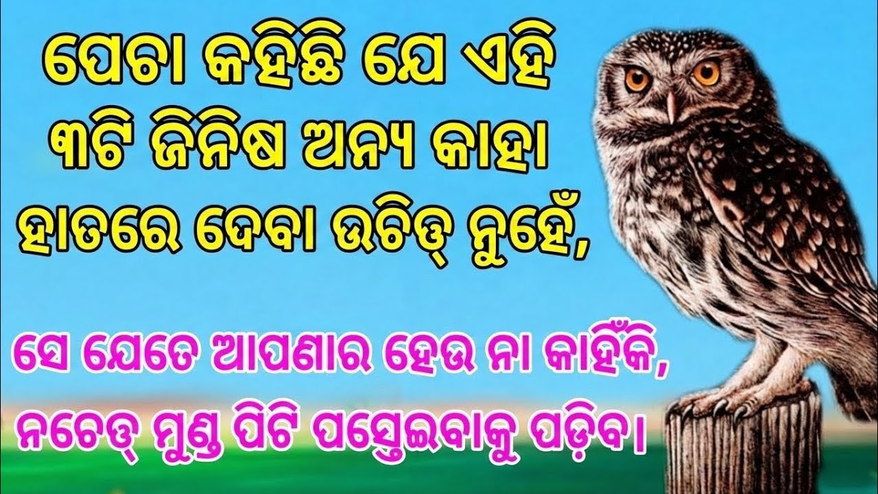ପେଚାର ଶିକ୍ଷା: ଏହି ୩ଟି ଜିନିଷ କାହାକୁ ମଧ୍ୟ ଦିଅନ୍ତୁ ନାହିଁ, ସମ୍ପର୍କରେ ସତର୍କ ରୁହନ୍ତୁ ଓ ଜୀବନକୁ ସୁରକ୍ଷିତ 