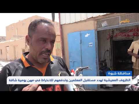 شبوة: معيشة المعلمين تتدهور وتُهدد العملية التعليمية