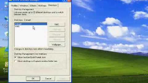 Using nView Multiple Desktops and the Desktop Explorer
