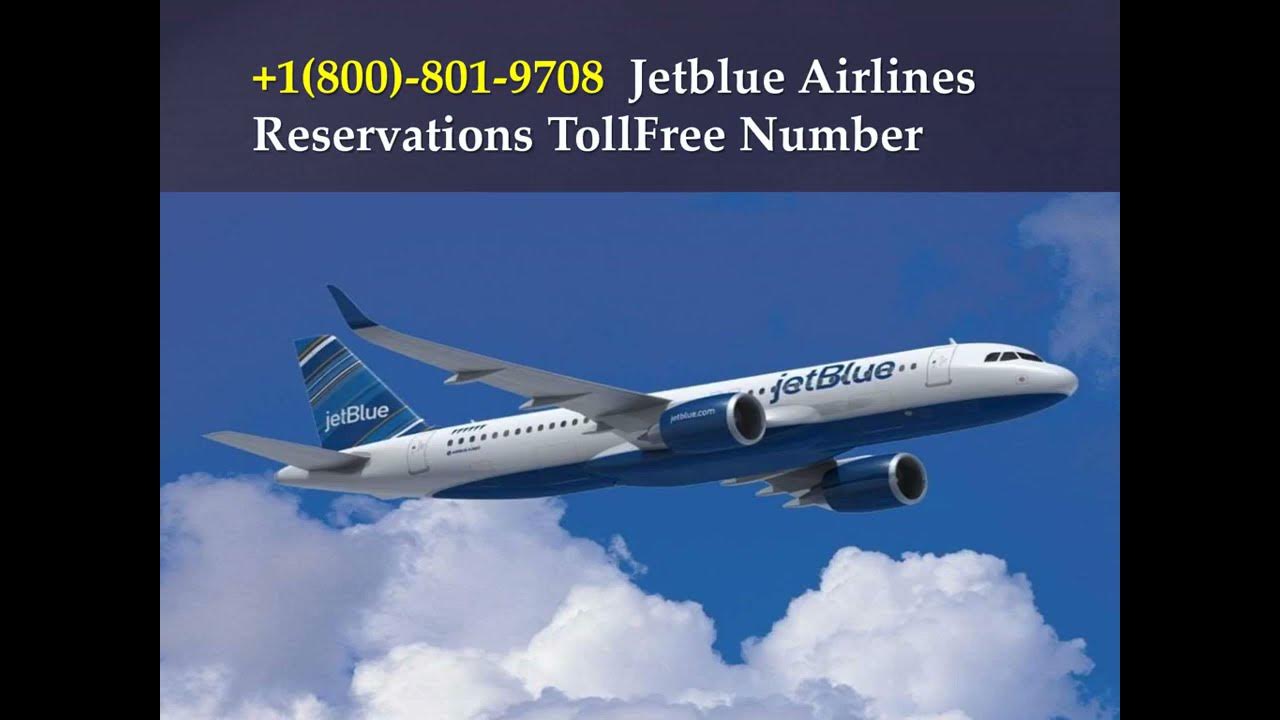 JetBlue Airlines Toll Free Number JetBlue airlines phone number YouTube