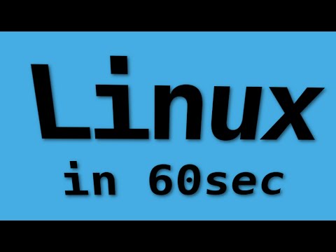 The BEST way to setup MySQL docker container using data only container