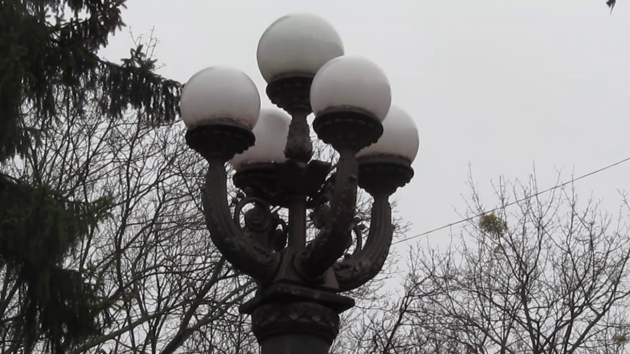 Зао росток киев