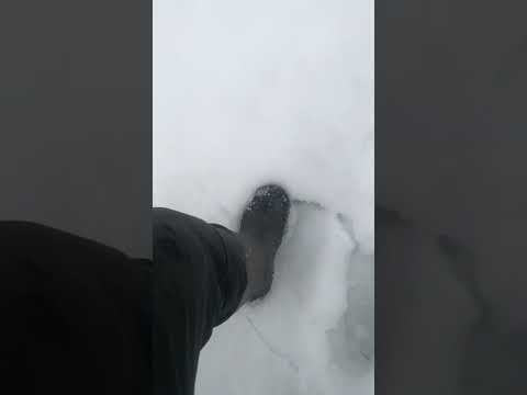 Снегоход снова в