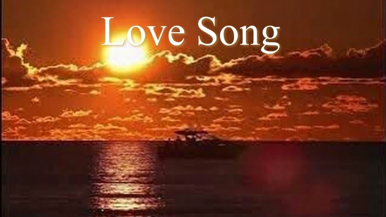 Taylor Swift - love is wonderful (Lyrics) 🎵