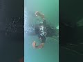 Goa scuba 🤿 Diving Experience #ocean #trendingshorts #subscribe #youtubeshorts #like #selflove