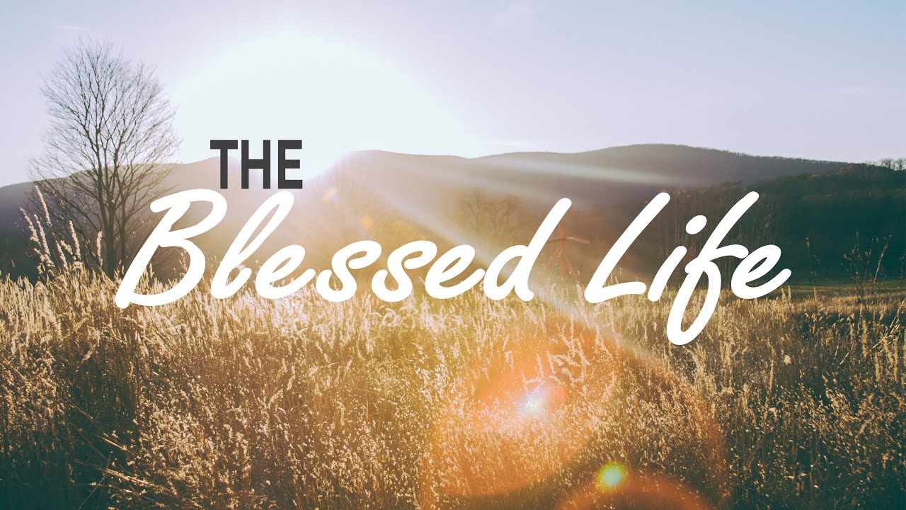 Bless your life. Thank you god bless you. Bless your life. Blessed life. Bless ассасин.