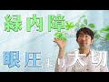 緑内障治療で大切なのは眼圧ではなくこの考え方です