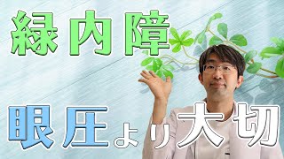 緑内障治療で大切なのは眼圧ではなくこの考え方です