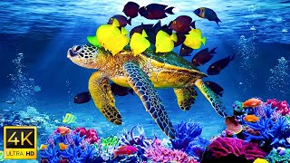 Relaxing Music to Relieve Stress, Anxiety and Depressive Conditions 🐠 Mind, Body & Soul Healing