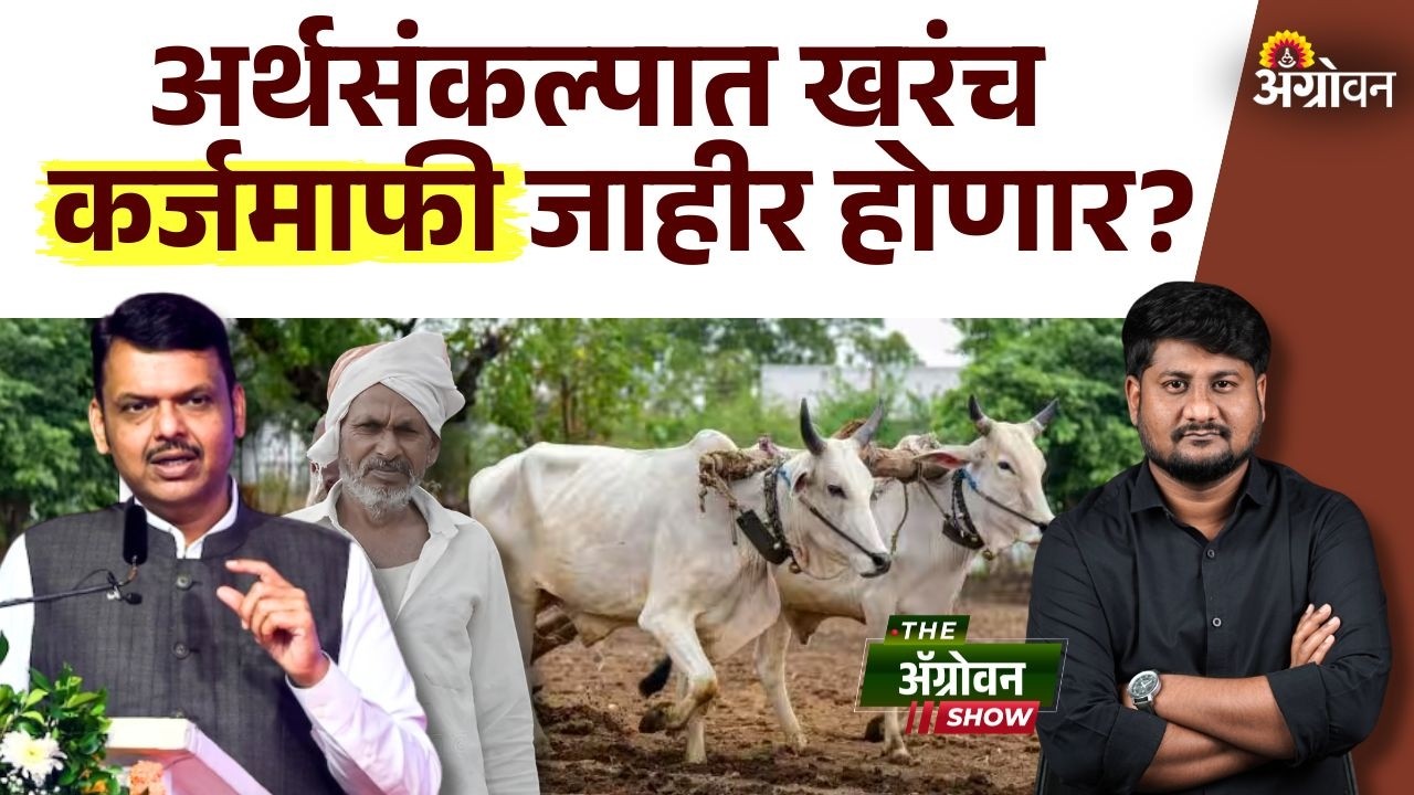 Farmer Loan Waiver: मुख्यमंत्री देवेंद्र फडणवीस शेतकऱ्यांना खुशखबर देणार का? | Agrowon