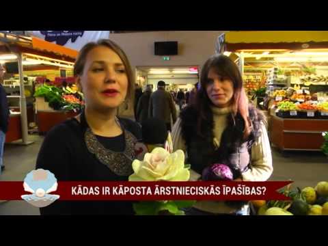 Video: Kādas ir kohēzijas īpašības?