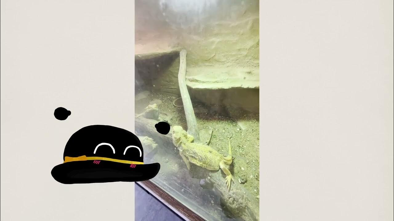 Špačková a spol Gymnázium F M Pelcla Rychnov nad Kněžnou Studoko 2022