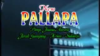 New pallapa  # cincin putih