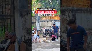 This pup just nailed an incredible flip 🥺😍 #shorts #animals #viral #fyp #dogs