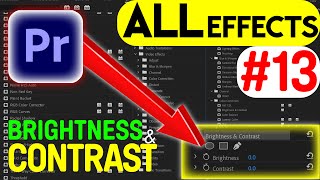BRIGHTNESS and CONTRAST (Color Correction) | Every Effect in Adobe Premiere Pro Explained | Ep 13 screenshot 4