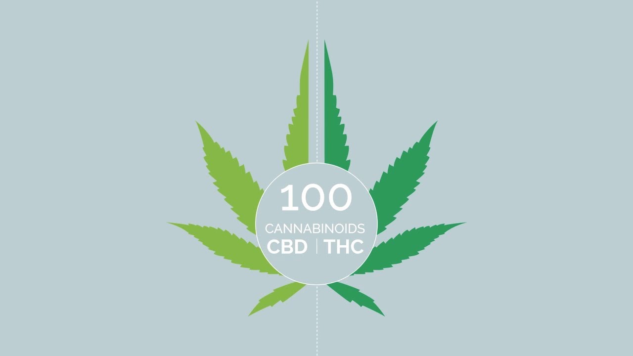 Hemp & CBD: Myths vs Facts