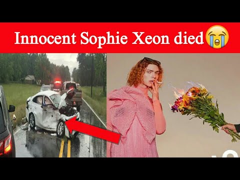 Sophie Xeon's cause of death as musician dies in tragic accident