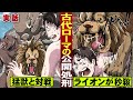 【実話】ゾウ・牛・クマ…猛獣と対戦する刑。最後はライオンに秒殺される。