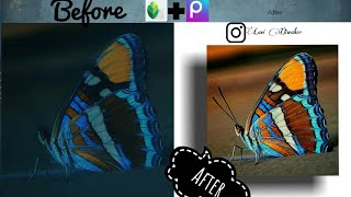 how to make butterfly snapseed and picsart/how to make butterfly photo frame#photo screenshot 2