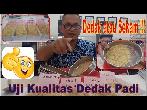 Video: Manfaat Dan Penggunaan Dedak Yang Benar