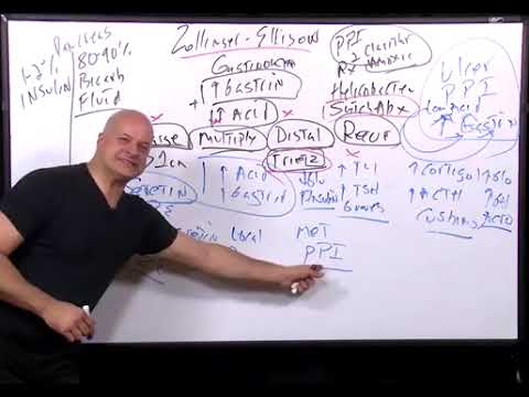 Understanding Gastrinoma and Zollinger-Ellison Syndrome Explained