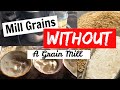 Milling grains without a grain mill: coffee grinder, Nutri Bullet, Baby Bullet comparison