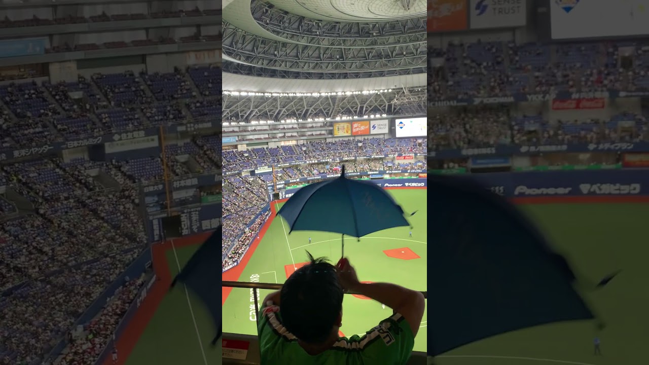 東京音頭☂️#shorts