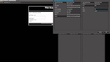Using TamperData in Firefox to Modify Web Requests