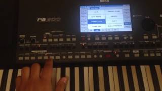 Arabic Style Korg Pa600