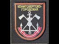 12 отдельная гвардейская инженерная бригада в/ч 63494 шеврон Алкино Башкирия