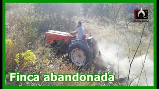 DESBROZANDO CON UN BARREIROS 4000V || Finca abandonada 3 años