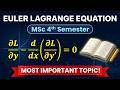 EULER LAGRANGE EQUATION | MSC 4TH SEMESTER | MOST IMPORTANT PDE TOPIC