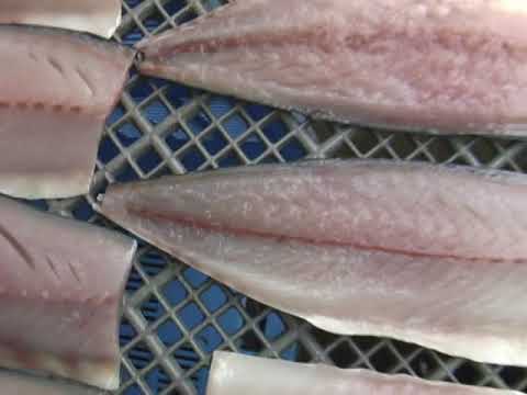 フィレスターサバ腹骨取り三枚下し - HqDefault