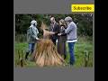 kate Middleton princess Catherine and prince William at the farm visit