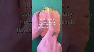 #pink #pineapple #asmr #foodfacts #foodie #fruits #fruitninja #fruitcutting