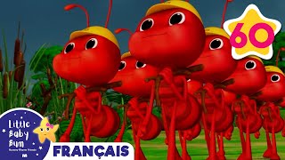 Les Fourmis Marchent - Comptines et Chansons pour Bébés | Little Baby Bum en Français