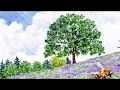 kaleidoscope/sumicco