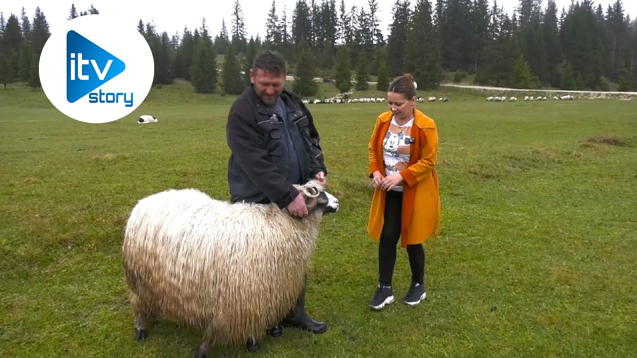 NE BOJ SE NEĆE UBOSTI