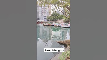 Aku di sini gess #shorts #tutorial #music
