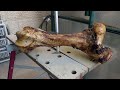 Preparing bone for carving Подготовка кости для резьбы