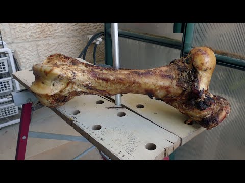 Preparing bone for carving Подготовка кости для резьбы