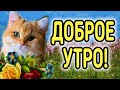 С ДОБРЫМ УТРОМ! НУ ОЧЕНЬ КРАСИВОЕ ПОЖЕЛАНИЕ ДОБРОГО УТРА!  ПРЕКРАСНОГО НАСТРОЕНИЯ, ХОРОШЕГО ДНЯ!