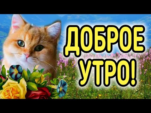 С ДОБРЫМ УТРОМ! НУ ОЧЕНЬ КРАСИВОЕ ПОЖЕЛАНИЕ ДОБРОГО УТРА! ПРЕКРАСНОГО НАСТРОЕНИЯ, ХОРОШЕГО ДНЯ!