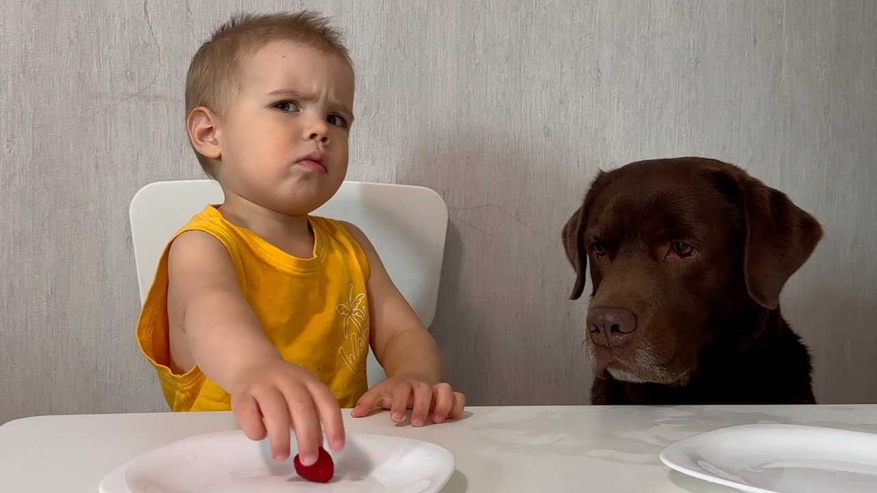 Would Toddler Share His Favorite Snack with His Best Friend?
